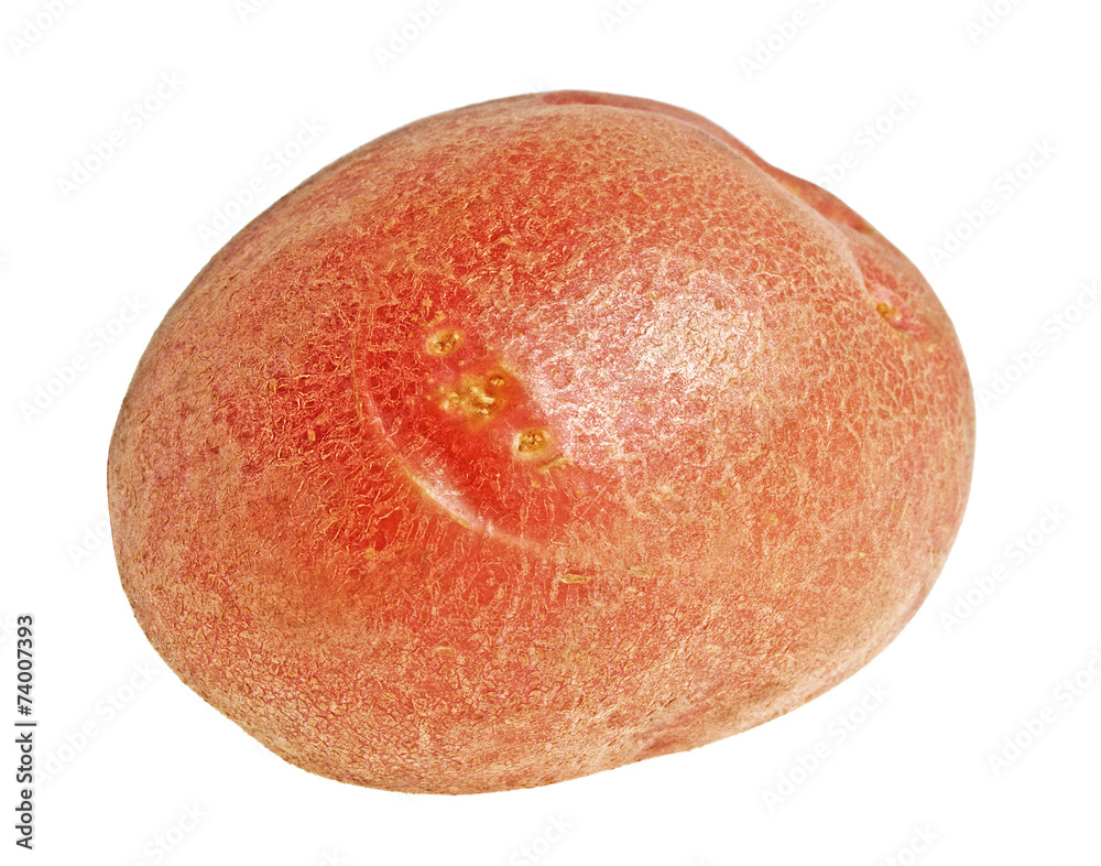 Fototapeta premium Potato isolated on a white background, close up.