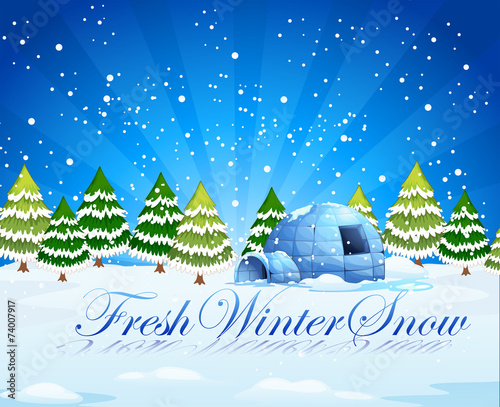 A fresh winter snow