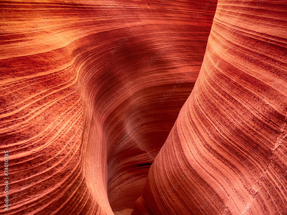Obraz premium Close up from Rattlesnake Canyon near Page, Arizona