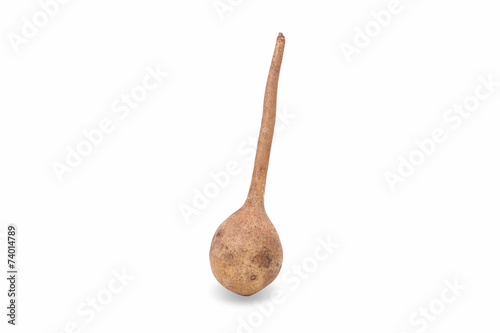 Orange pumpkin isolated on a white background
