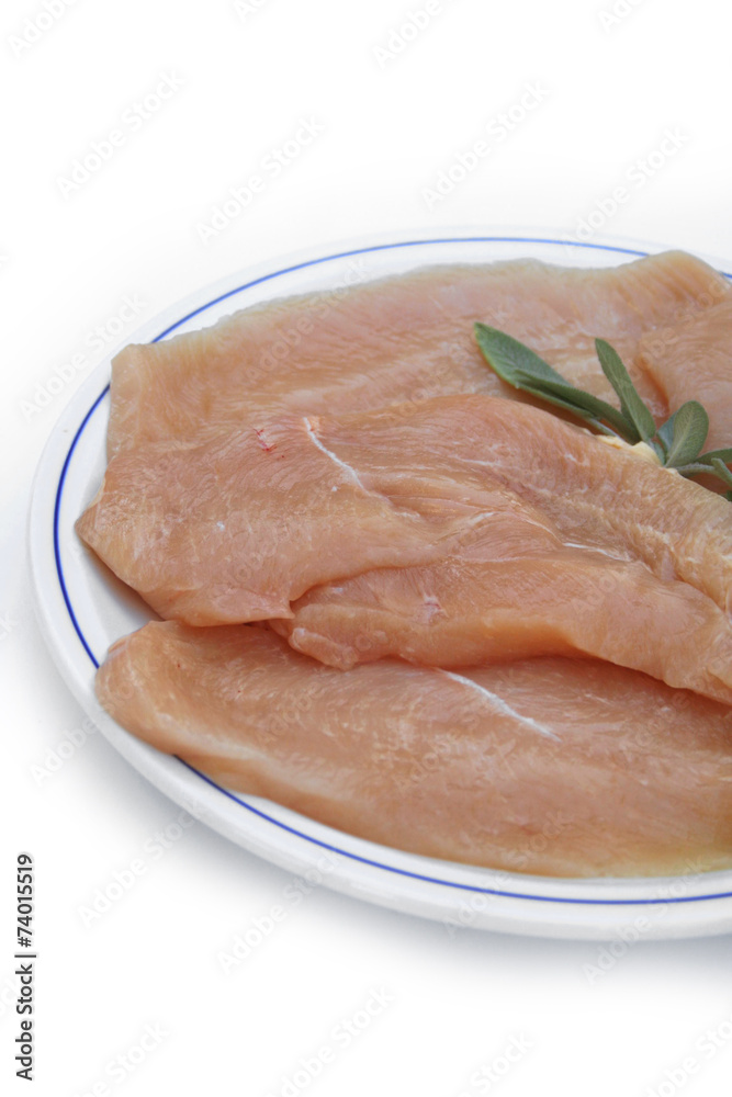 petto di pollo a fettine su piatto_ sfondo bianco petto di pollo a fettine su piatto_ sfondo bianco
