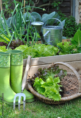 coin potager