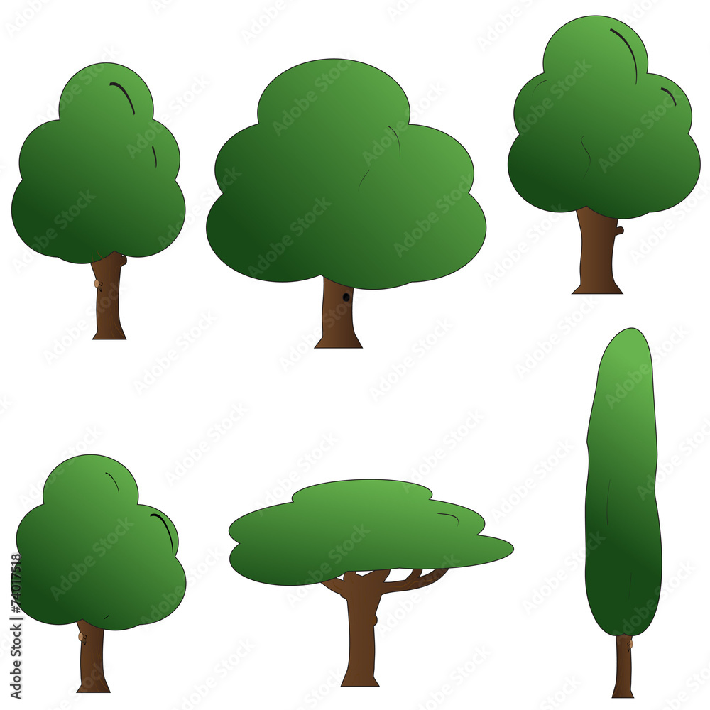 Fototapeta premium Vector image of a tree.