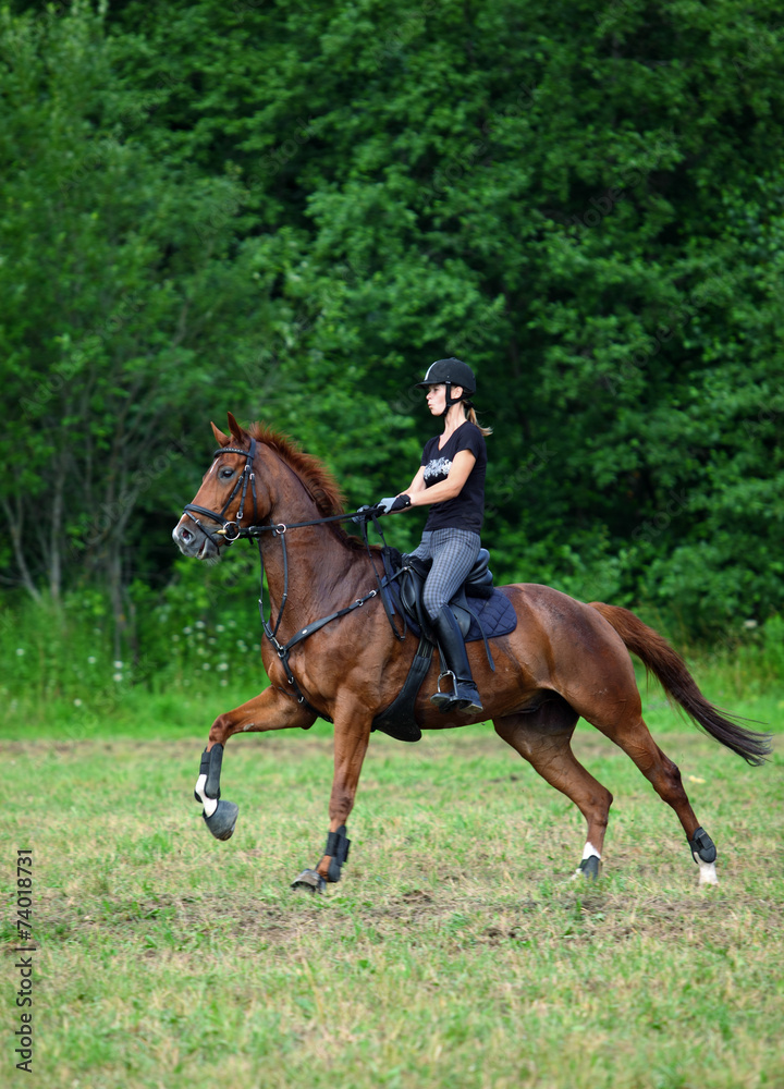 Gallop training in pasture Gallop training in pasture