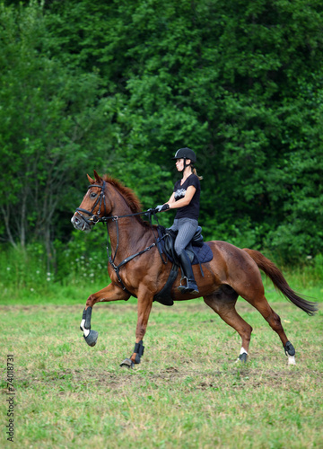 Gallop training in pasture © horsemen