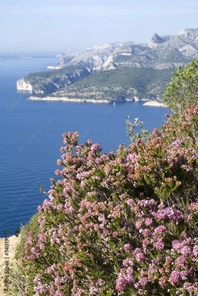 Southern France. View of the Calanques National Park