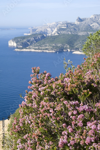 Southern France. View of the Calanques National Park