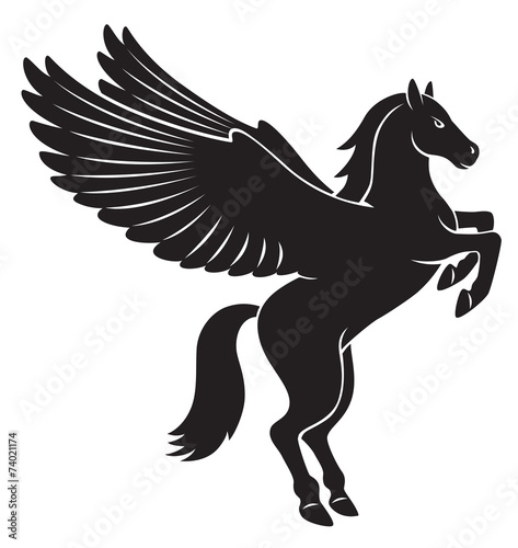 Canvastavla Pegasus