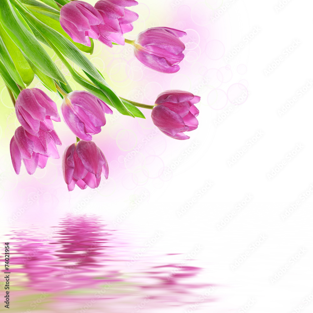 Naklejka premium Tulip flowers background