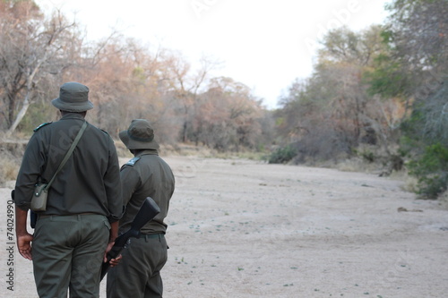 Bush Walk mit Rangern Kr  ger Nationalpark