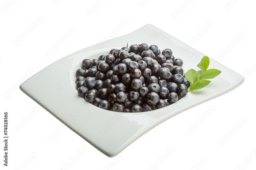 Blueberry Blueberry