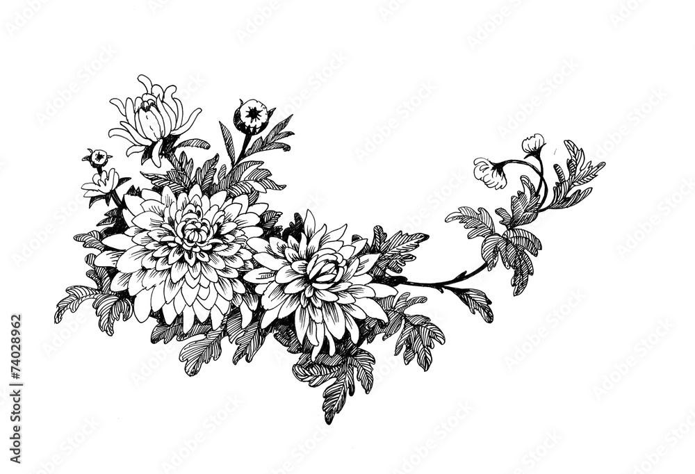 custom made wallpaper toronto digitalHand-drawing chrysanthemum