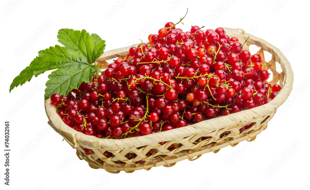 Red currant Red currant