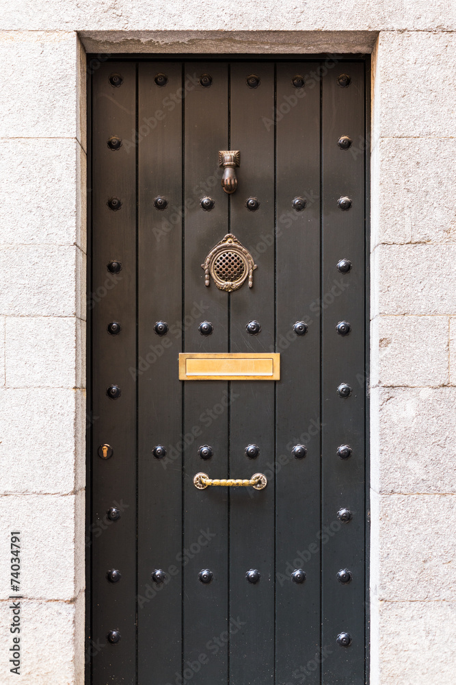 Obraz premium Old door.