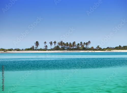 The island with palm trees in the ocean