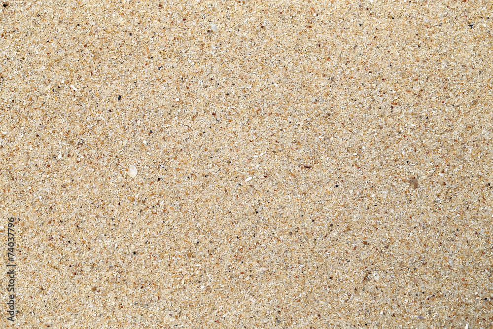 The texture of the sand The texture of the sand