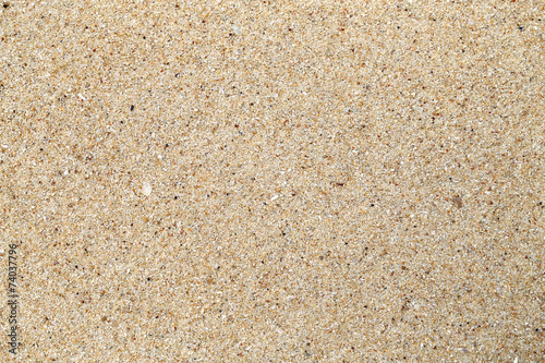 The texture of the sand