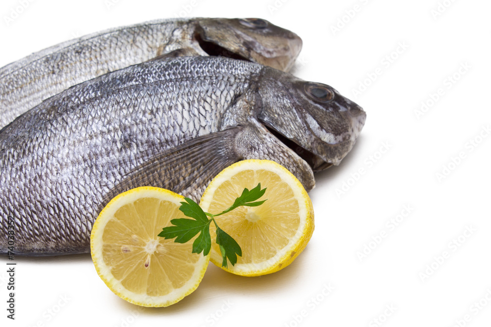 bream isolated bream isolated