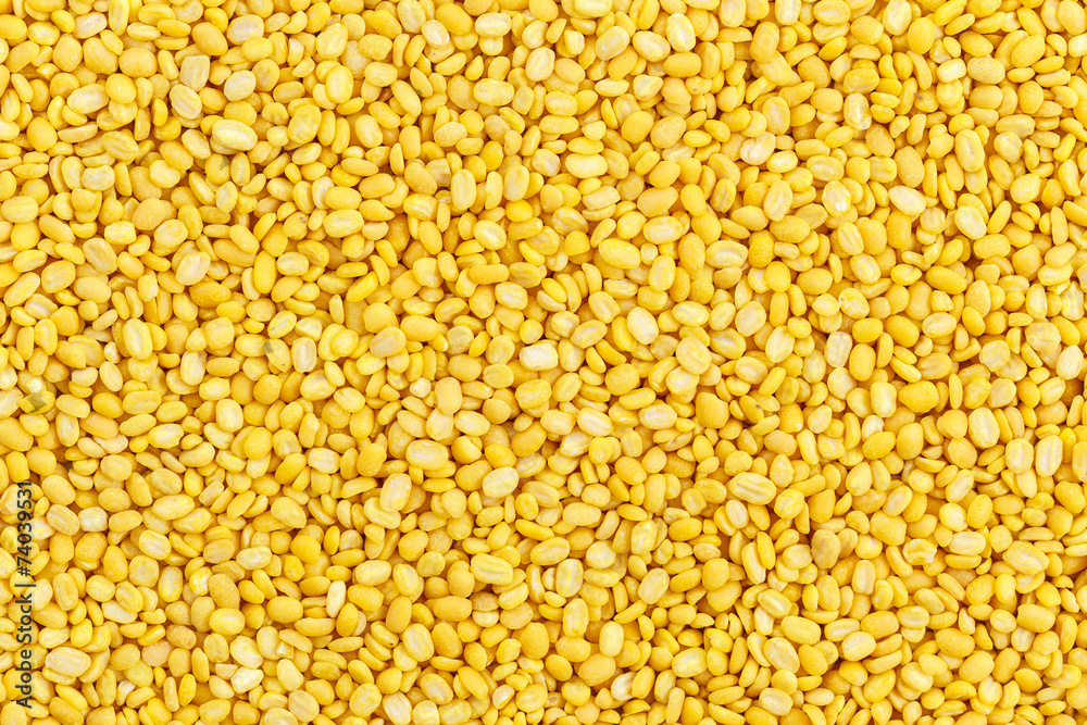 Close up soybean for background Close up soybean for background