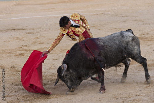 Bullfighter in a bullring