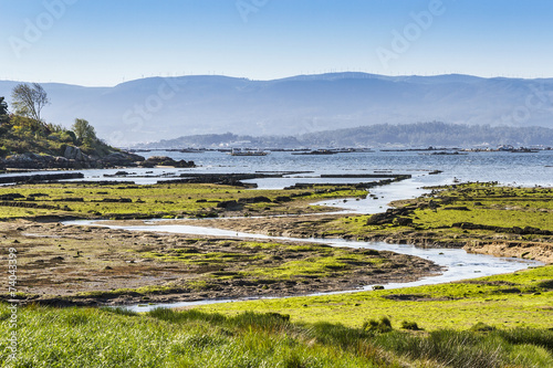 Brook on the estuary