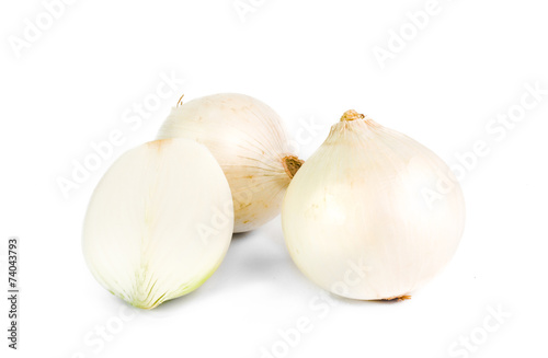 White onion on white background
