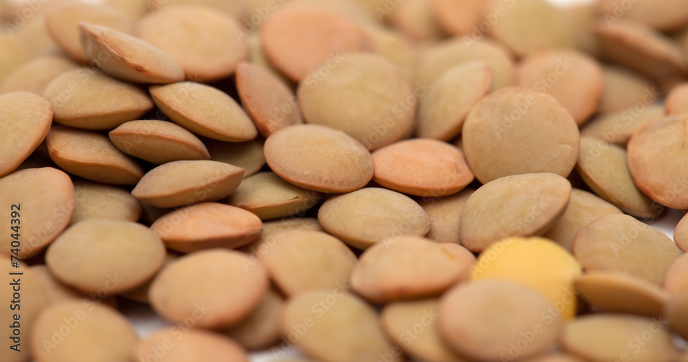 lentils lentils