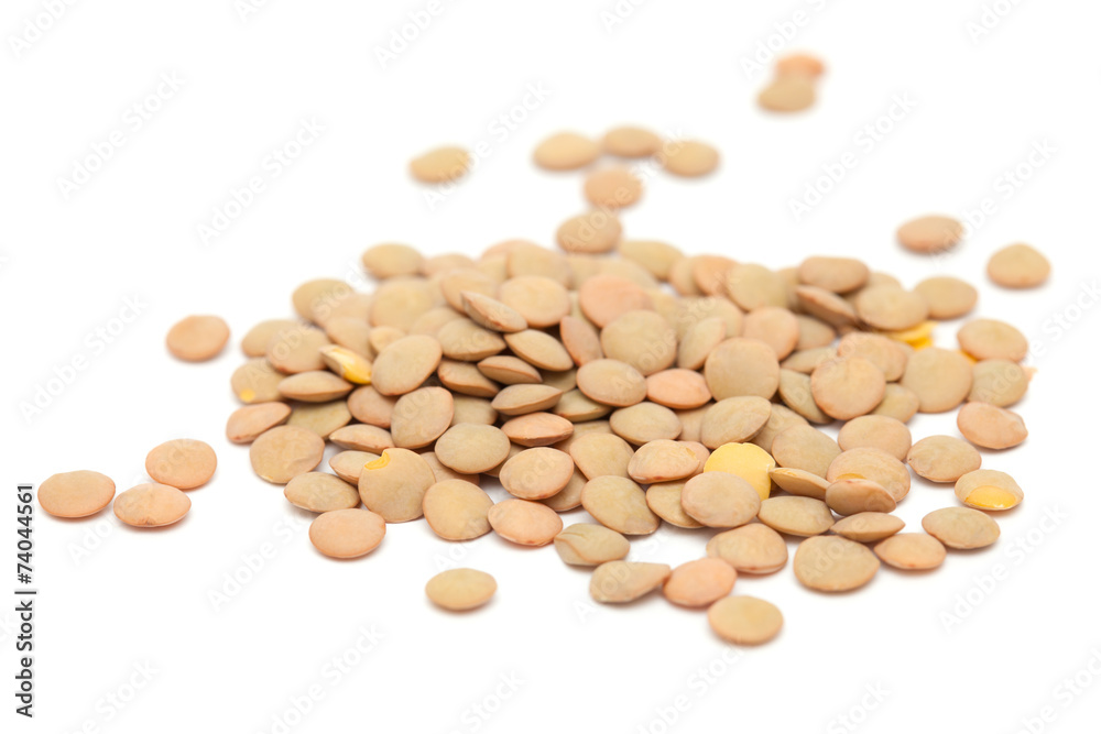 lentils lentils