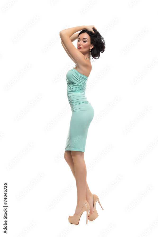 alluring sexy woman in evening dress posing, isolated on white alluring sexy woman in evening dress posing, isolated on white