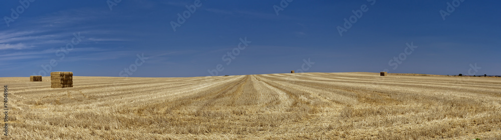 Tierra de Castilla. Gran panorama.