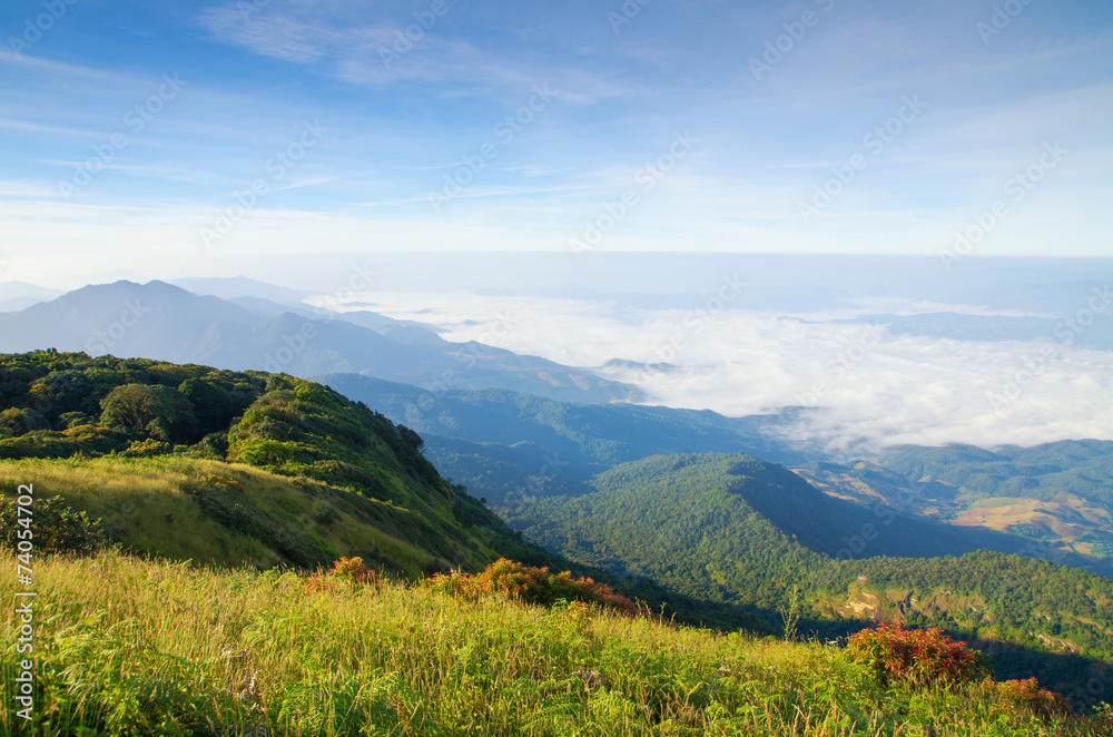 Fototapeta premium The hills in the fog. Morning landscape