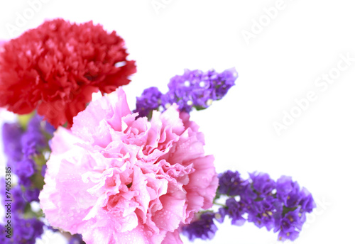pink Flower in soft color style - Stock Image © singkamc