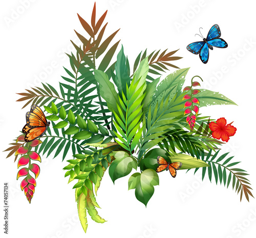 Flowers