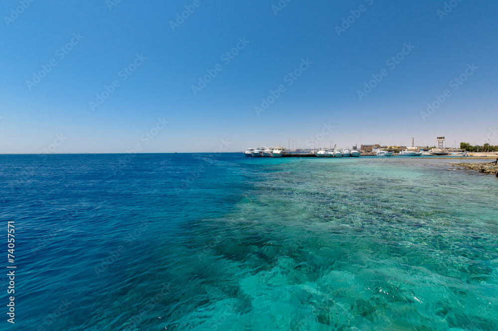 Fototapeta premium Побережье Красного моря.