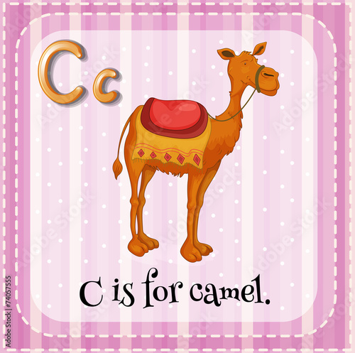Letter C