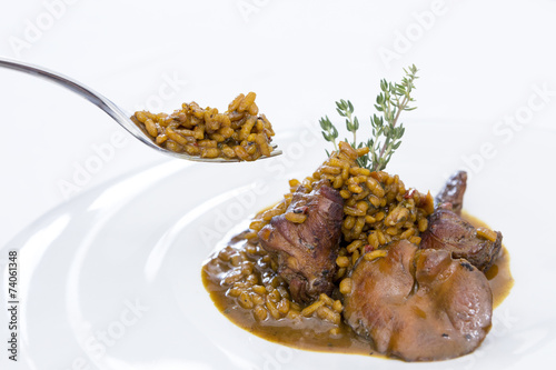 fork and rice with rabbit