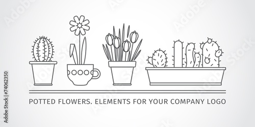 linear design, potted flowers. elements logo.