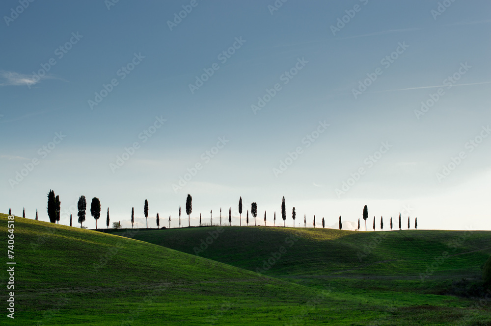 Landscape of Tuscany