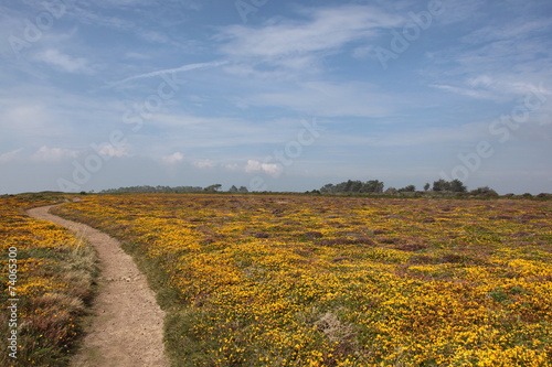 Un chemin enivrant.
