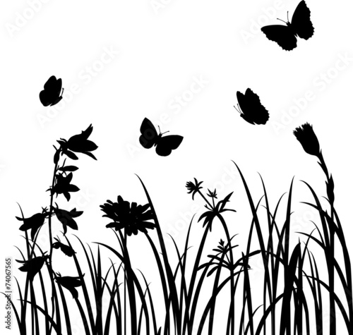 Silhouettes  of flowers and butterflies #74067565