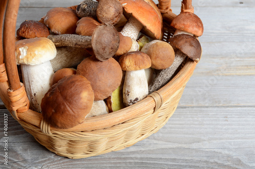 The raw boletus edulis a background