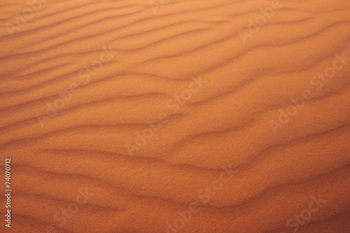 sand texture © fox17