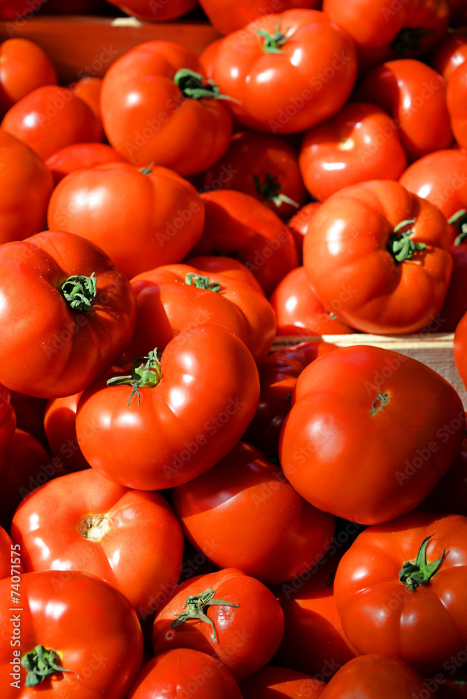 Fleischtomaten auf dem Wochenmarkt in der Provence