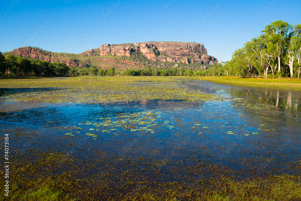 Naklejka premium Anbangbang Billabong and Nourlangie Rock, Kakadu, Australia