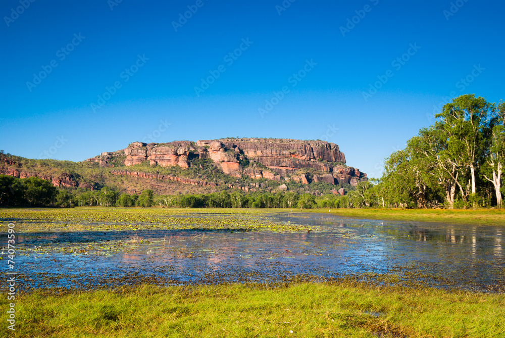 Fototapeta premium Anbangbang Billabong and Nourlangie Rock, Kakadu, Australia