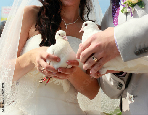 Two white doves. Wedding