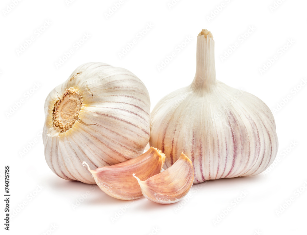 Obraz premium Garlic isolated