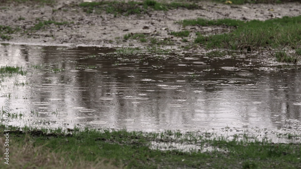 Rain splashing in puddle with reflection of trees Rain splashing in puddle with reflection of trees