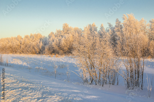 winter Landscape. © ads861