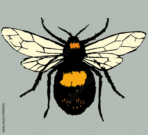 Bumblebee